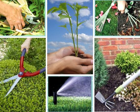 mantenimiento de jardines